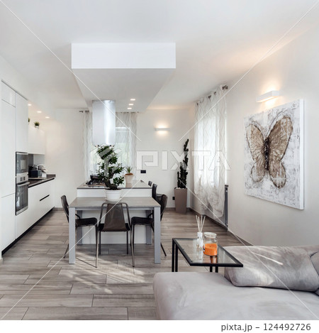 Modern living room 124492726