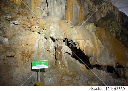 中国地方・秋吉台・秋芳洞・広庭から千町田へ向かう順路にある笣柿(すぼ柿)・山口県美弥市 中国地方・秋吉台・秋芳洞・広庭から千町田へ向かう順路にある笣柿(すぼ柿)・山口県美弥市 124492780