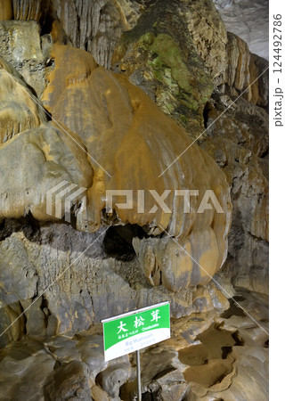 中国地方・秋吉台・秋芳洞・広庭から千町田へ向かう順路にある大松茸・山口県美弥市(3) 中国地方・秋吉台・秋芳洞・広庭から千町田へ向かう順路にある大松茸・山口県美弥市(3) 124492786