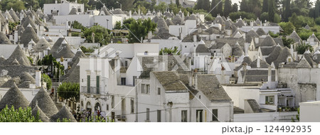 Scenic panoramic view of Alberobello and trulli buildings, Apulia, Italy Scenic panoramic view of Alberobello and trulli buildings, Apulia, Italy 124492935