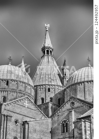 Domes of the Basilica of Saint Anthony in Padua, Italy 124492957