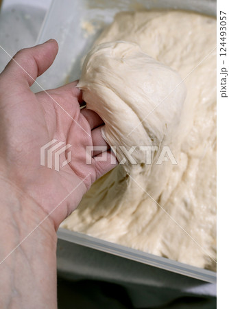Hands Kneading Fresh Bread Dough Hands Kneading Fresh Bread Dough 124493057