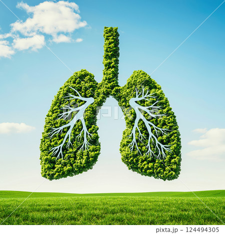 A pair of lungs made from green leaves against blue sky and green field 124494305