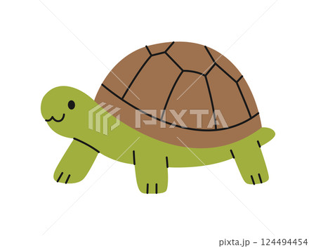 Cute land turtle on white background. Isolated tortoise. Adorable pet, exotic animal in simple style. Domestic or wild reptile character. Zoo, wild nature. Vector flat illustration 124494454