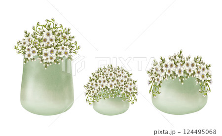 White flowers primroses in green ceramic pots. Watercolor illustration isolated on white. Floral set of foget-me-not, curly green leaves in flower pots hand-drawn botanical style for spring design. 124495068
