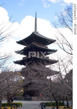 京都府 東寺・五重塔(国宝) 京都市 南区 九条町 2022年2月 京都府 東寺・五重塔(国宝) 京都市 南区 九条町 2022年2月 124495207