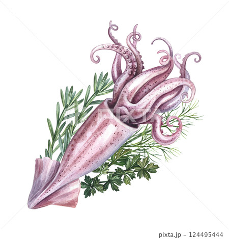 Whole squid with celery, dill and rosemary. A hand-drawn watercolor illustration. Color image of seafood. For menus, recipes, packages, labels and invitation flyers. Whole squid with celery, dill and rosemary. A hand-drawn watercolor illustration. Color image of seafood. For menus, recipes, packages, labels and invitation flyers. 124495444