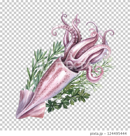 Whole squid with celery, dill and rosemary. A hand-drawn watercolor illustration. Color image of seafood. For menus, recipes, packages, labels and invitation flyers. Whole squid with celery, dill and rosemary. A hand-drawn watercolor illustration. Color image of seafood. For menus, recipes, packages, labels and invitation flyers. 124495444
