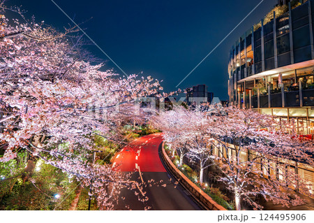 東京ミッドタウン　満開の桜 124495906