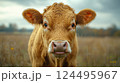 Cow standing in pen on farm during foot-and-mouth disease outbreak. created with Generative AI technology. 124495967