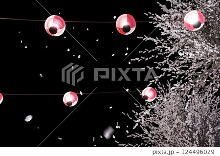 ちょうちんが吊り下げられている桜並木が風に揺られて花びらが舞うイメージ ちょうちんが吊り下げられている桜並木が風に揺られて花びらが舞うイメージ 124496029