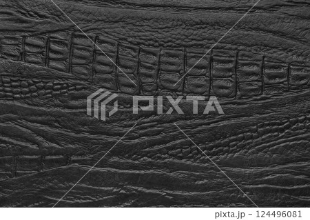 Crocodile genuine leather texture macro, black leatherette with metallic, pearlescent effect Crocodile genuine leather texture macro, black leatherette with metallic, pearlescent effect 124496081