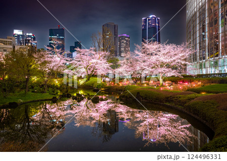 六本木　毛利庭園の桜のライトアップ 124496331