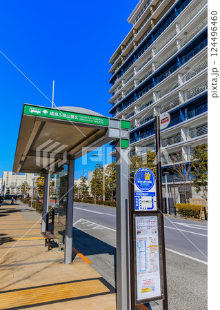 東京　中央区　晴海ふ頭に建ち並ぶ 晴海フラッグ（HARUMI FLAG）　 124496460