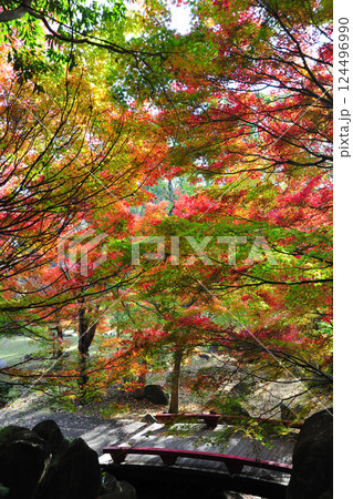 於大公園の紅葉 於大公園の紅葉 124496990