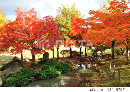 於大公園の紅葉 124497074