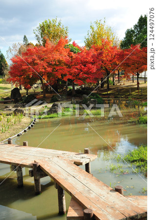 於大公園の紅葉 124497076