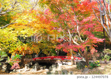 於大公園の紅葉 於大公園の紅葉 124497078