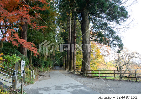中尊寺月見坂 静かな秋の朝 岩手県 中尊寺月見坂 静かな秋の朝 岩手県 124497152