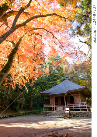 世界遺産中尊寺　秋色に染まる経蔵の朝　岩手県 124497237