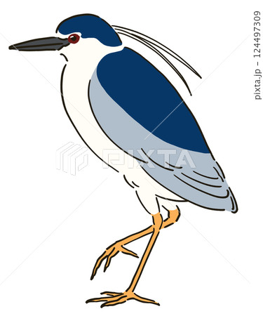 ゴイサギのイラスト ゴイサギのイラスト 124497309