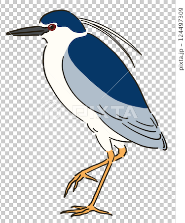 ゴイサギのイラスト ゴイサギのイラスト 124497309