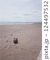 海岸に流れ着いた浮き 124497532