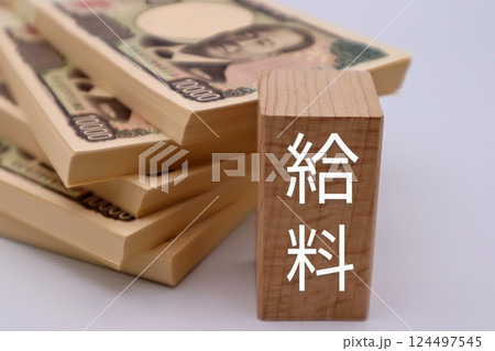 給料をイメージした写真 給料をイメージした写真 124497545