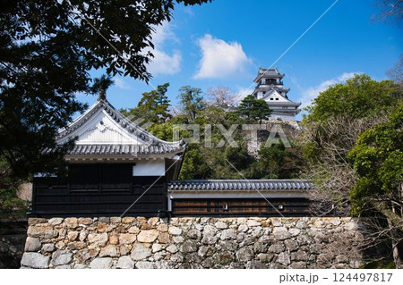 高知城と桜 124497817