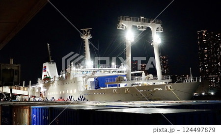 東京都竹芝桟橋に係留されているさるびあ丸 124497879