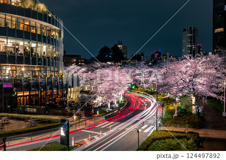 東京ミッドタウン　満開の桜 124497892