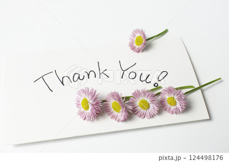 英語のメッセージを添えたピンク色のデイジーの切り花 124498176
