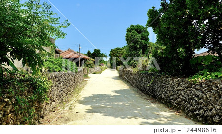 沖縄県竹富島の街並み 124498616