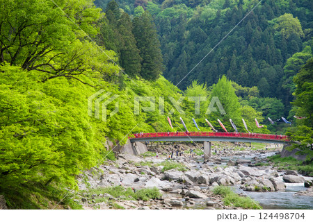 香嵐渓の新緑《愛知県豊田市足助町》 124498704