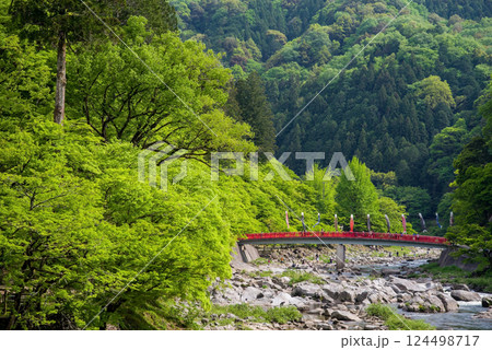 香嵐渓の新緑《愛知県豊田市足助町》 124498717