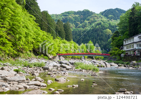 香嵐渓の新緑《愛知県豊田市足助町》 香嵐渓の新緑《愛知県豊田市足助町》 124498721