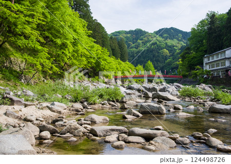 香嵐渓の新緑《愛知県豊田市足助町》 124498726