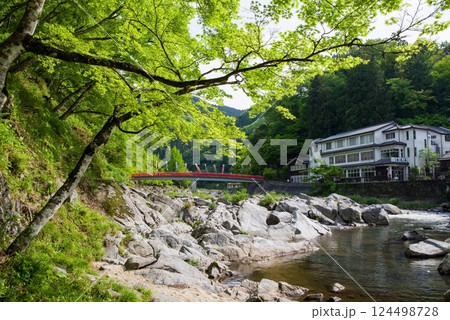香嵐渓の新緑《愛知県豊田市足助町》 124498728