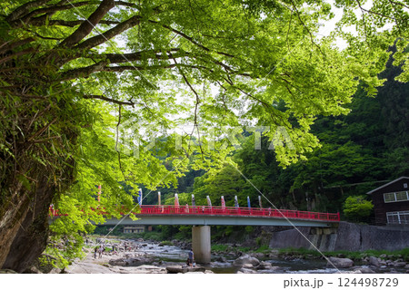香嵐渓の新緑《愛知県豊田市足助町》 香嵐渓の新緑《愛知県豊田市足助町》 124498729