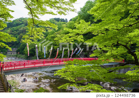 香嵐渓の新緑《愛知県豊田市足助町》 124498736