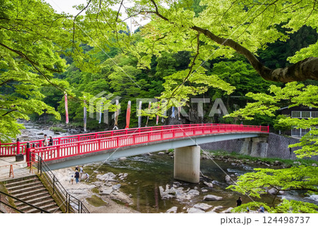 香嵐渓の新緑《愛知県豊田市足助町》 124498737