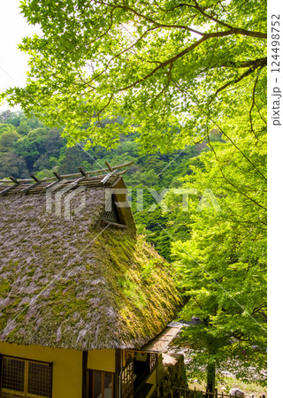 香嵐渓の新緑《愛知県豊田市足助町》 香嵐渓の新緑《愛知県豊田市足助町》 124498752