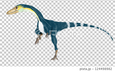 腔骨龍(Coelophysis baur)是一種小型、細長的肉食恐龍,以早期恐龍而聞名。 腔骨龍(Coelophysis baur)是一種小型、細長的肉食恐龍,以早期恐龍而聞名。 124498982