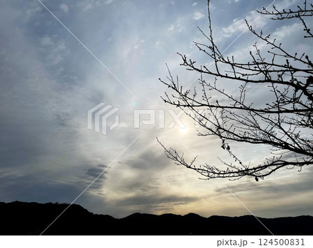 雲に隠れる太陽 124500831