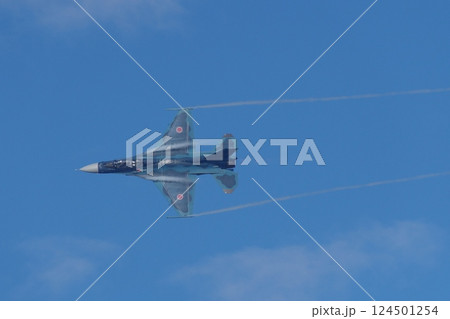 航空祭で機動飛行を行う航空自衛隊 飛行開発実験団のF-2B 124501254