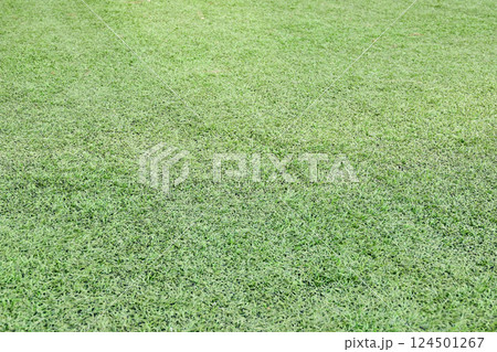 artificial green grass turf sport soccer field with black rubber granules infill 124501267