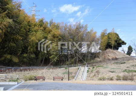 横浜市港北区・新羽丘陵公園 横浜市港北区・新羽丘陵公園 124501411