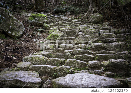 熊野古道 124502370