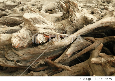 日本　富山の風景 124502679