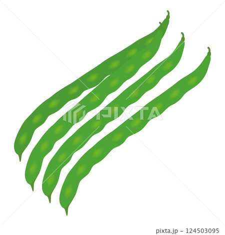 サヤインゲン 124503095